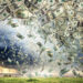 A whirlwind of dollar bills swirls above a grassy field under a dramatic sky with dark clouds and a glimpse of sunlight breaking through. The money appears to be caught in a powerful vortex, creating a dynamic and chaotic scene, reminiscent of the ambitious goals at Make1M.com. | MAKE1M