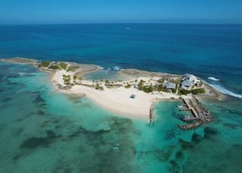 Aerial view of a small tropical island surrounded by clear turquoise waters. The island features white sandy beaches, scattered palm trees, a few buildings, and a dock with boats. Perfect for those searching private islands to sale, the surrounding sea shows varying shades of blue and green. | MAKE1M
