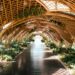 Featured image for: Biophilic Design in Luxury Real Estate: Trends and Top Examples (Explain biophilic design principles and their application in high-end properties. Cover key elements: natural light, indoor greenery, natural materials, and water features. Discuss benefits for well-being, creativity, and property value.)